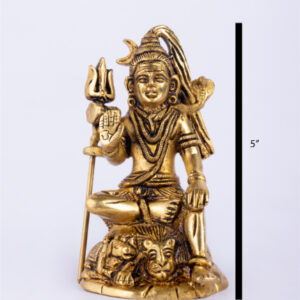 Lord Shiva 05"