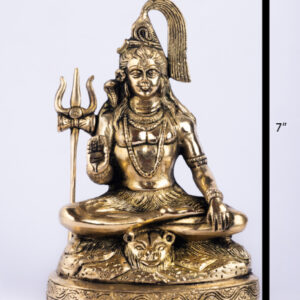 Lord Shiva 07"