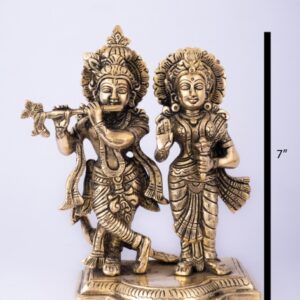 Lord Radhe-Krishna 07"