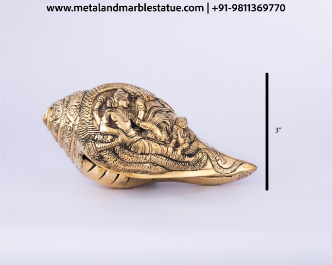 Shell 3"
