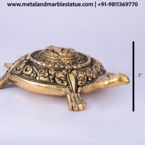 Tortoise 2"