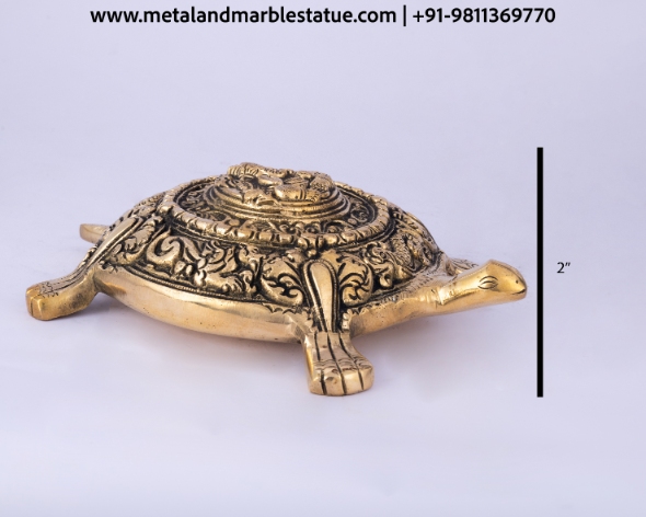 Tortoise 2"