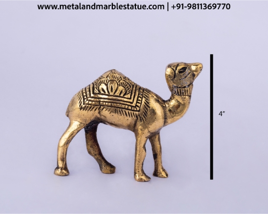 Camel 4"